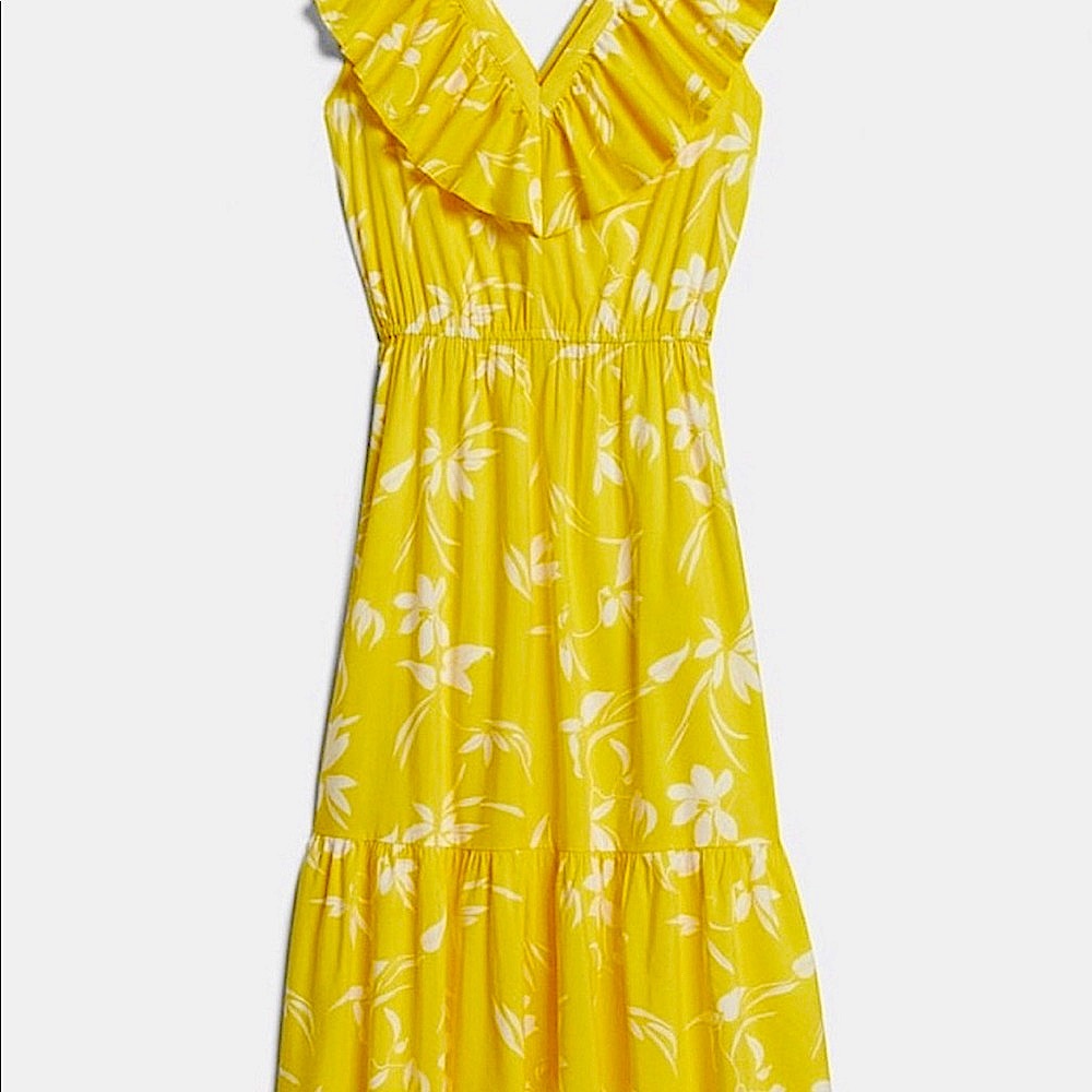 Petite V-Neck Ruffle Midi Dress
